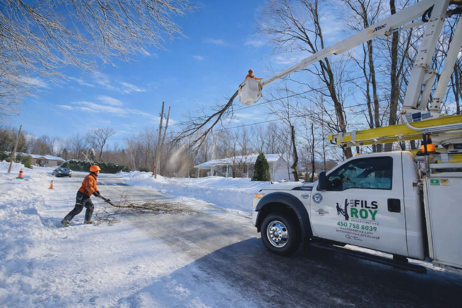 Elagueur Coupe Arbre Hiver Camion Nacelle Les Fils du Roy